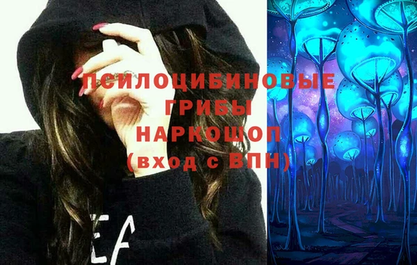 бошки Краснослободск